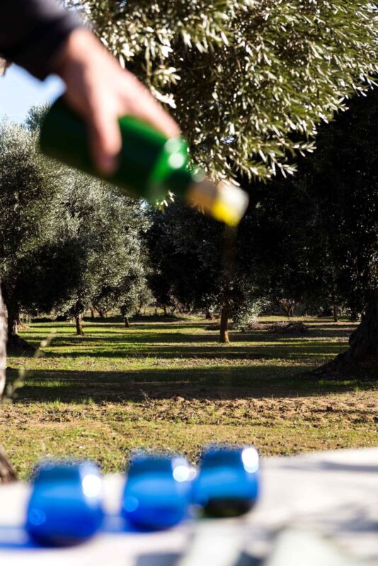 Imagen de una cata de aceite en el Mas dels Castellans, con una botella de su aceite de oliva siendo servida en vasos de cata