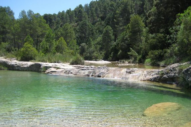 Imagen de La Pesquera