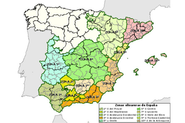 Mapa de las zonas productoras de aceite de oliva en España